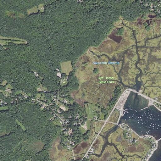 Elderly woman falls and requires lift assist in Rye