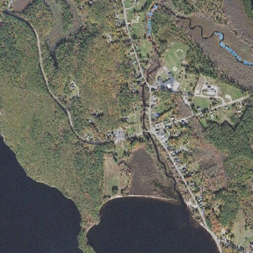 Elderly woman having difficulty breathing at Delaney Drive