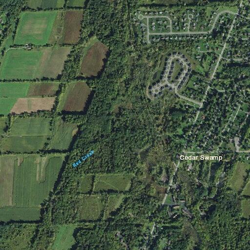 Suspicious activity reported on East Henrietta Road