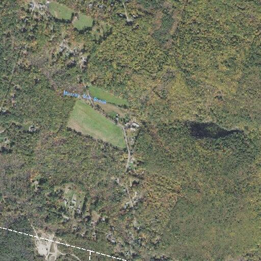 80-year-old female in pain after fall at Brown Road