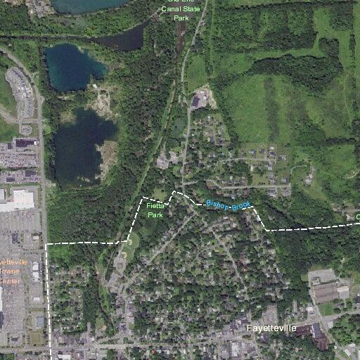 Person reported sick near Warren Street, Fabius