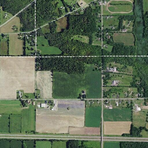 Tree branch on power lines reported on Griswold Road