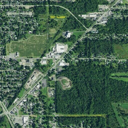 20-year-old female bitten by dog in North Tonawanda