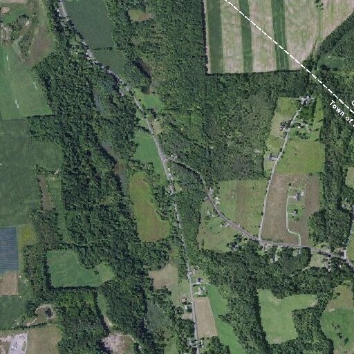 78-year-old female unable to walk near Creek Road