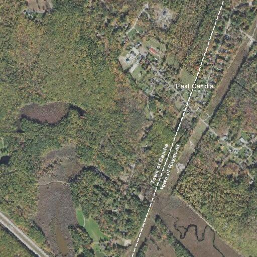 Officer assigned to search for missing dog