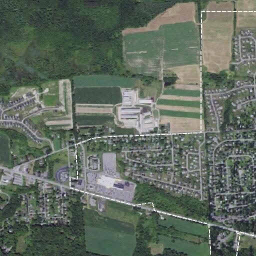 Unconscious woman found in car at Chittenango store