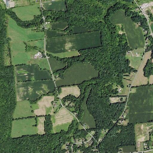 Intoxicated trespasser kicks door at Eagles Way