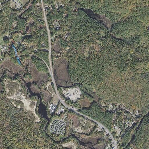 Elderly woman falls, injures head, shoulder, and hip