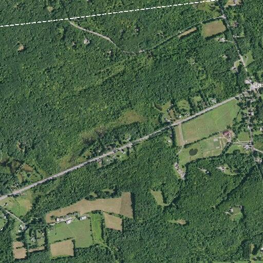 Male with laceration near Route 29 in Middle Grove