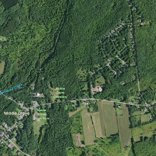 Deer crash injures driver and damages utility wires