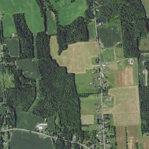 60-year-old female experiencing unconsciousness in Warners