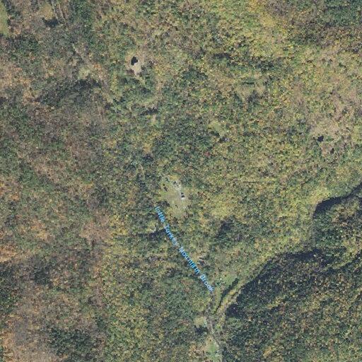 Man vomiting blood near Turkey Mountain Road