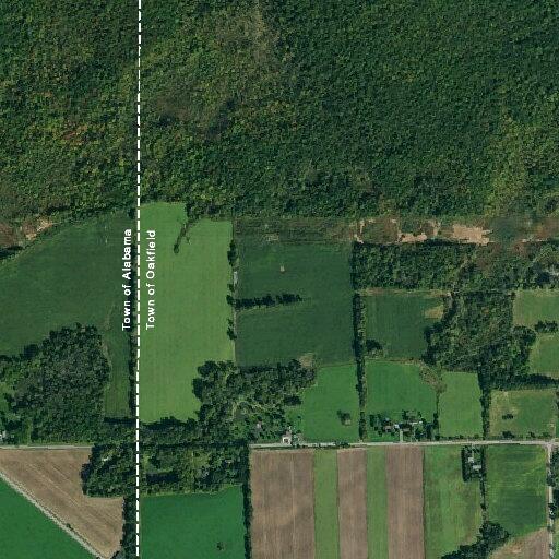 Motorcycle strikes tree on Lockport Road