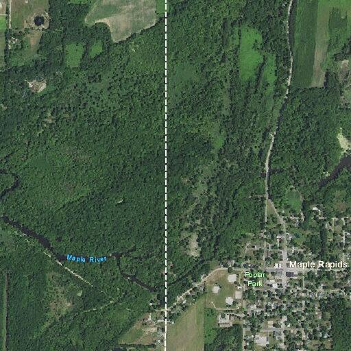 Person bitten by dog near baseball fields in Maple Rapids