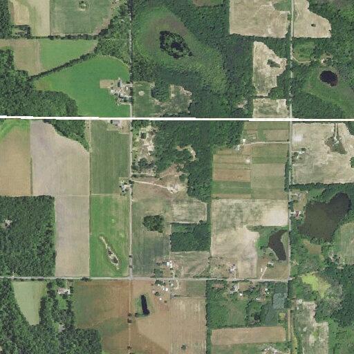 Loose dog reported in yard on Chipman Road