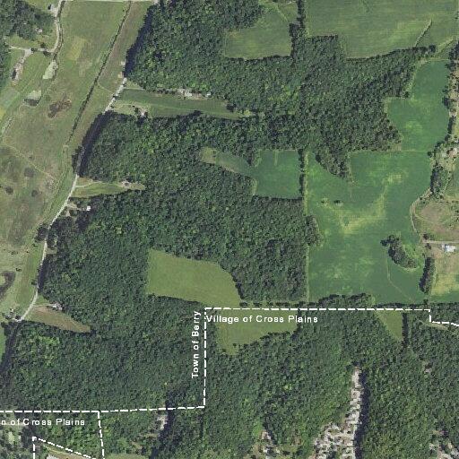 Report of black bear near Center Street home