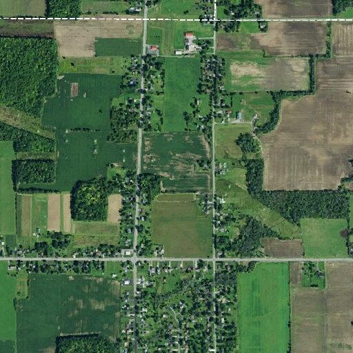 Verbal dispute between neighbors over flooding