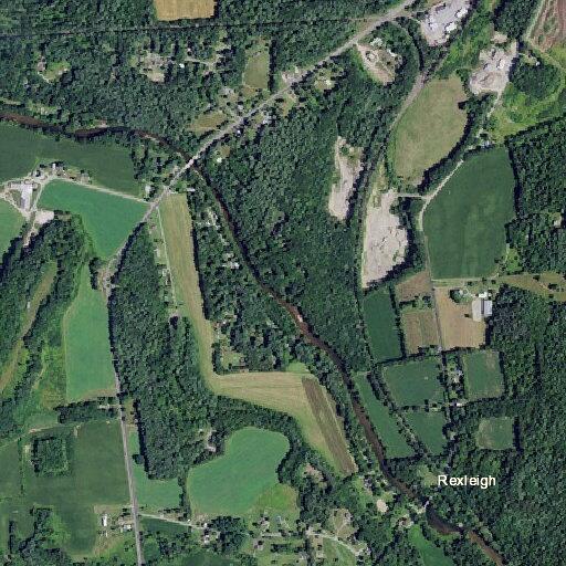 Harassment complaint at Batten Kill Country Kennels