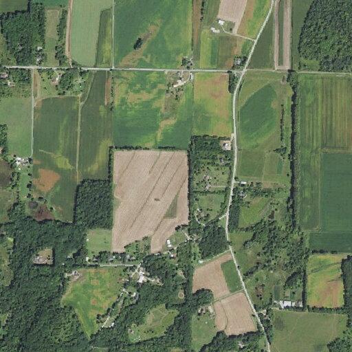 Loose horses reported in roadway near Lake Mills