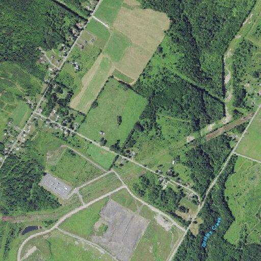 90-year-old woman injured left wrist near Marcy