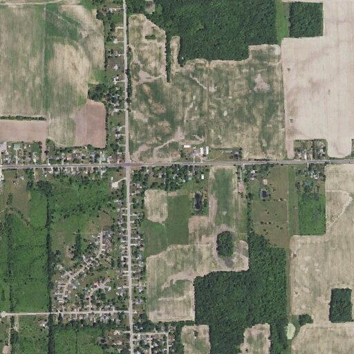 59-year-old woman with altered mental status at Bray Road