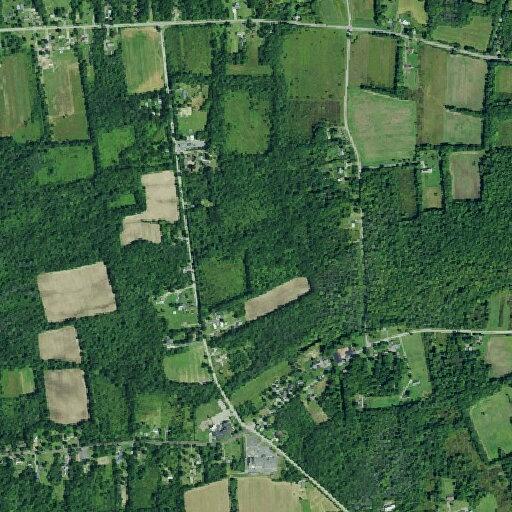 Animal bite reported near Mt Hope Road