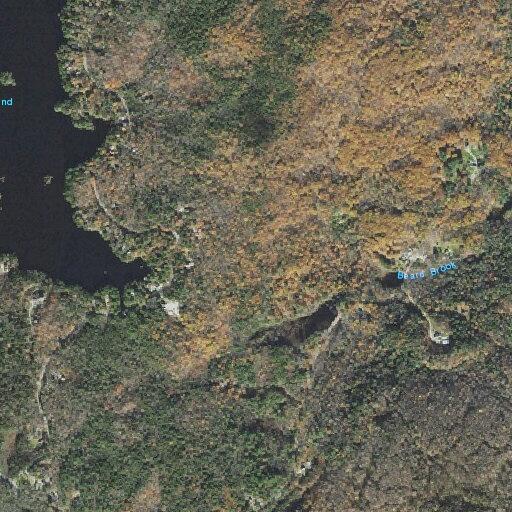 Person fell near East Washington Road in New Hampshire