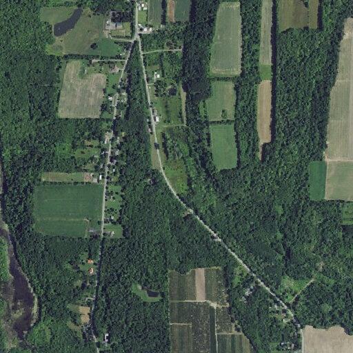 Diabetic woman having seizure near ridge chapel road in Marion