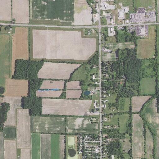 Elderly male fell near South Oakley Road in Chesaning, MI