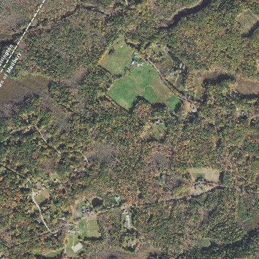 Complaint about barking dog in Madbury