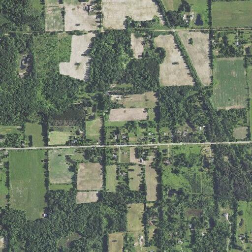 Female with broken arm and breathing problem in Columbiaville