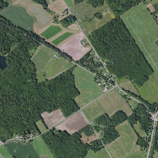 Stroke symptoms in 65-year-old man at Higginsville Road