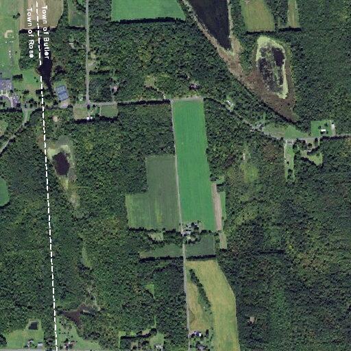 Ninety-year-old male with possible urinary infection at Gaylord Road