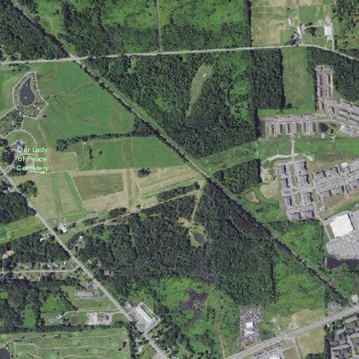 30-year-old female with heart problems at Route 31
