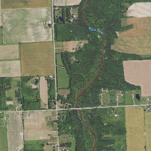Man with afib found fainted at Black River Road