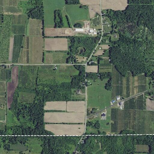 Female experiences allergic reaction to cider in Williamson