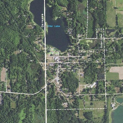 57-year-old female having a seizure in Otter Lake