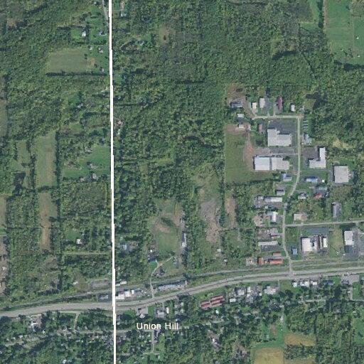 Aggressive female reported at Route 104 Lot 31