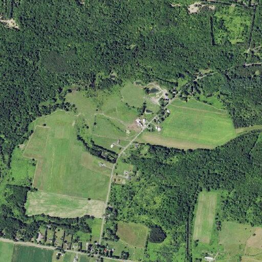 84-year-old man falls, chest injury and breathing issues