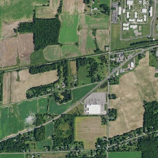 Nonverbal man with feeding tube vomiting in Albion