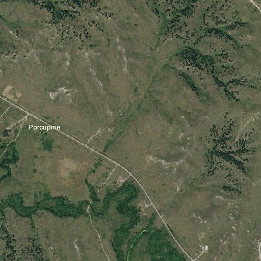 Man bothering people at red building in Porcupine