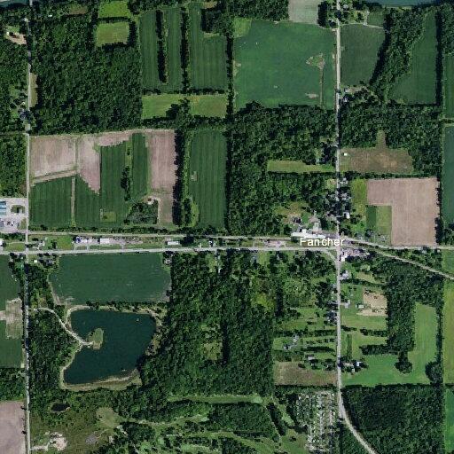 Tree reported on fire on Route 31 in Fancher