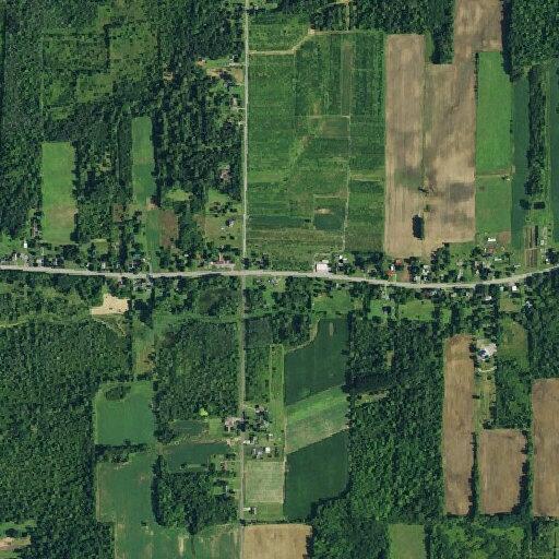 Traffic stop on Ridge Road in Middleport