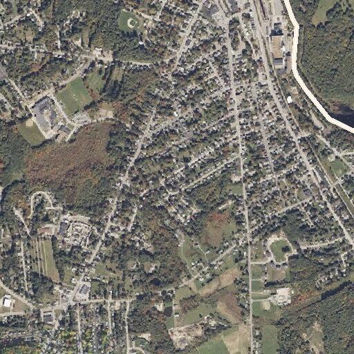 Dead deer reported near Green Street residence