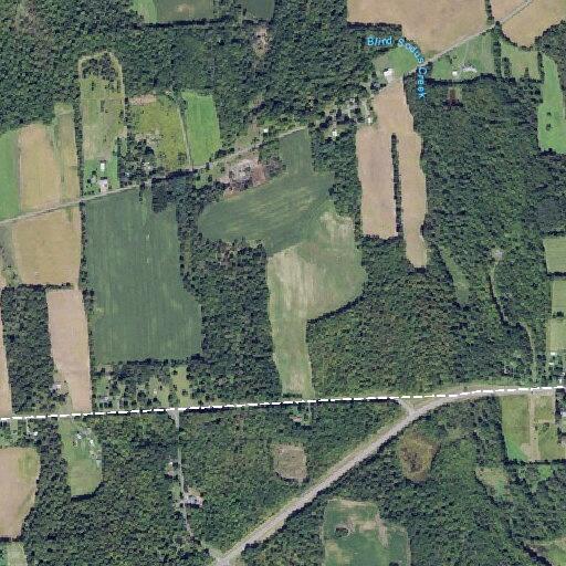 Woman with impacted bug bite at Route 104A address