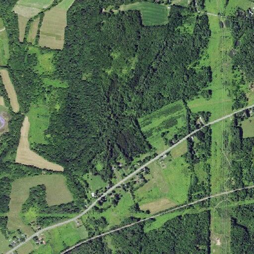 Man reports chest pain near State Route 365 in Holland Patent