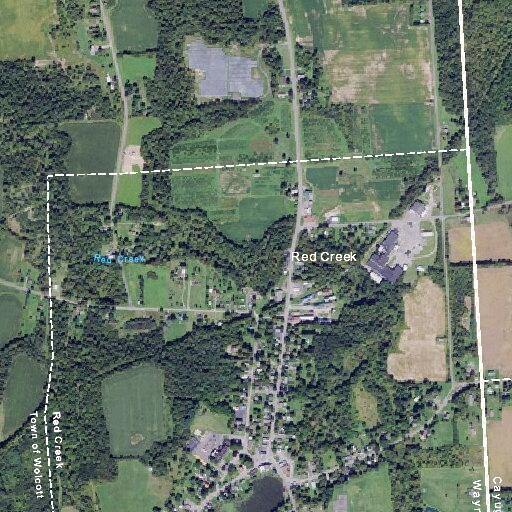 Tree on power lines with possible fire risk