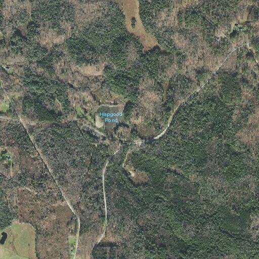 Assault victim at Hapgood Pond Road campground