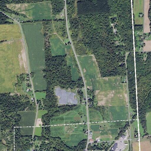Man with breathing difficulty near Red Creek