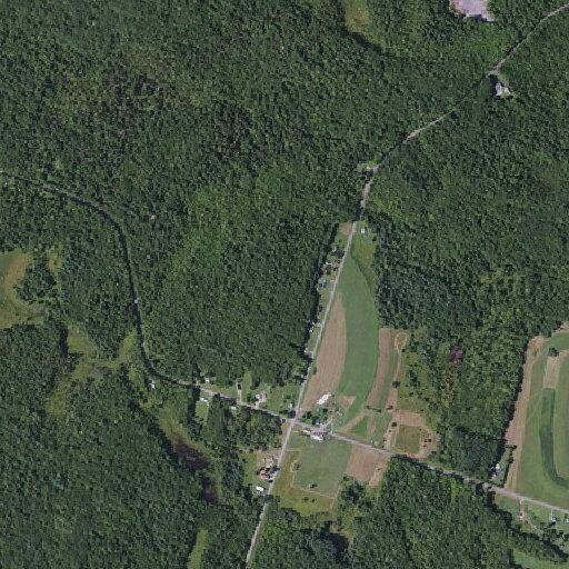 Tree on power lines causing small fire risk
